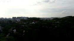 The Skywoods (D23), Condominium #563178071